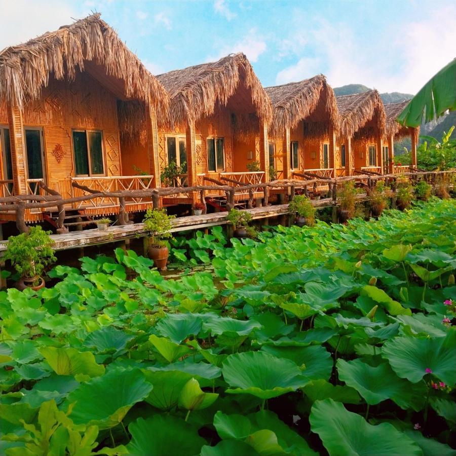 Hang Mua Lotus Homestay นิญบิ่ญ ภายนอก รูปภาพ