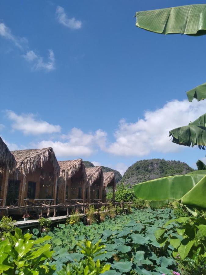 Hang Mua Lotus Homestay นิญบิ่ญ ภายนอก รูปภาพ