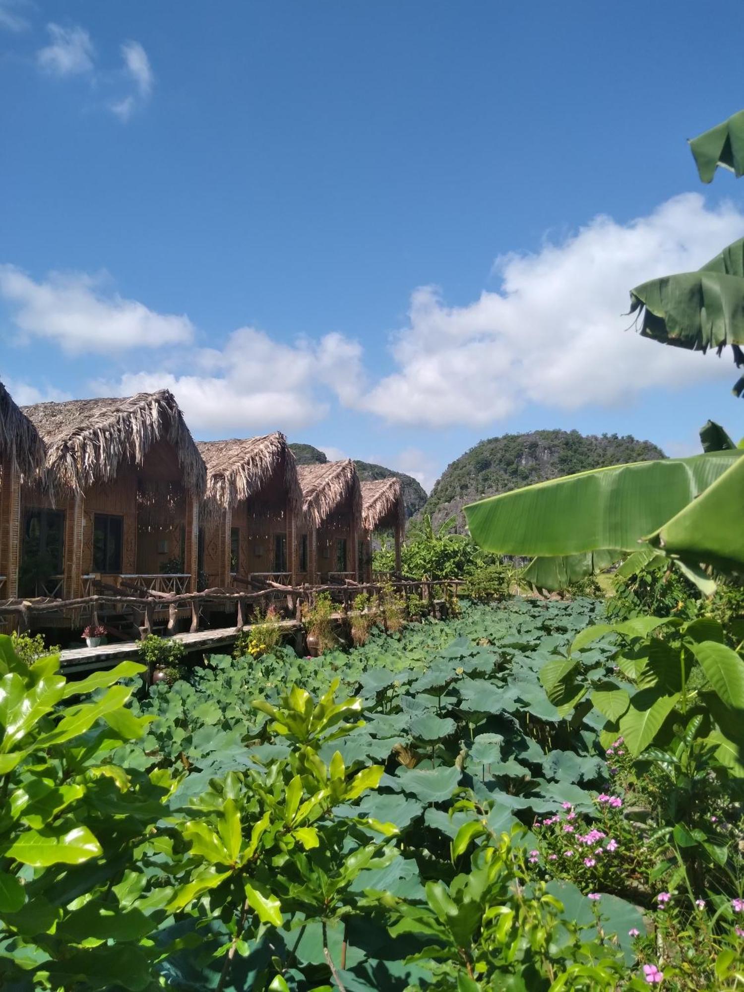 Hang Mua Lotus Homestay นิญบิ่ญ ภายนอก รูปภาพ